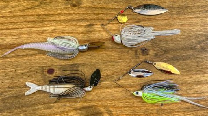 When should you use a chatterbait?