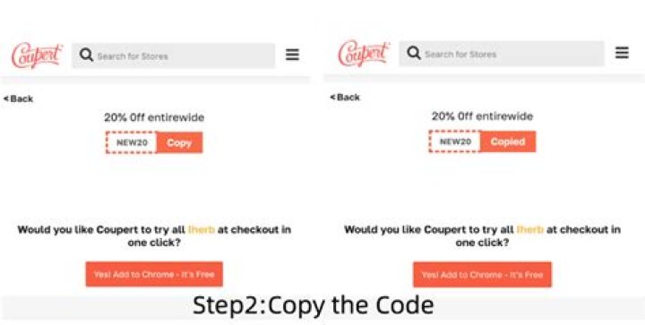 Where do you put the promo code for AutoCheck?