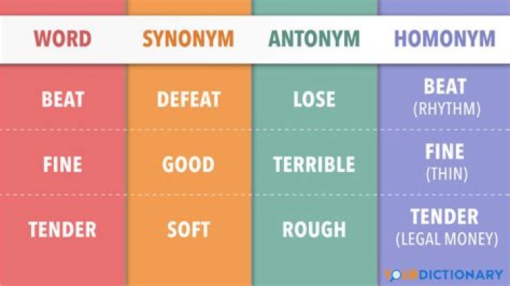 Which is the closest antonym for the word lanky?