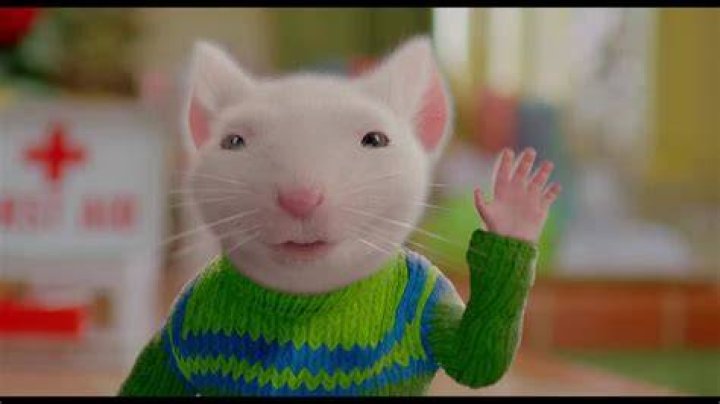 Who is the voice of snowball in Stuart Little?